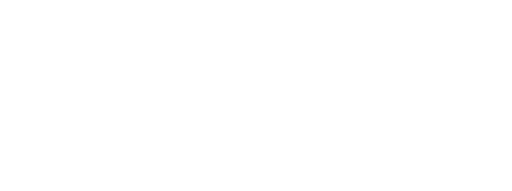 Allbirds